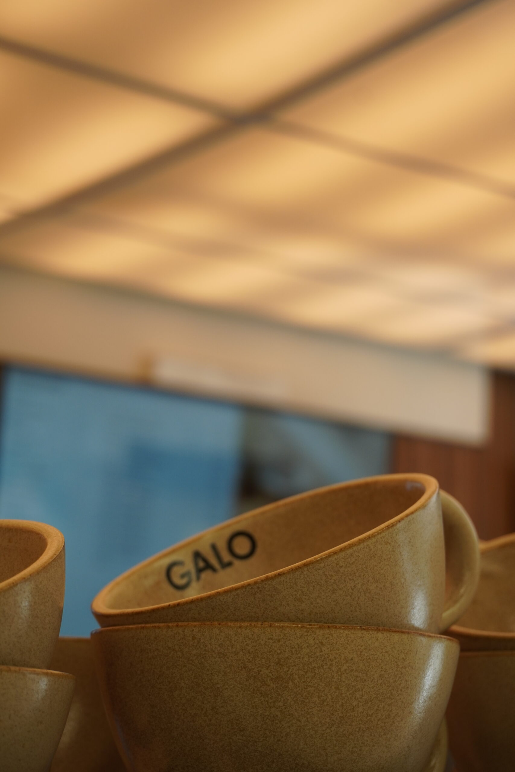 GALO Gallery Image